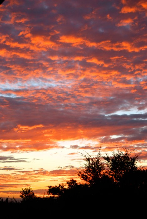 From the archives, but one of my favourites