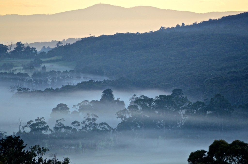 August 27 Fog Mount Dandenong base