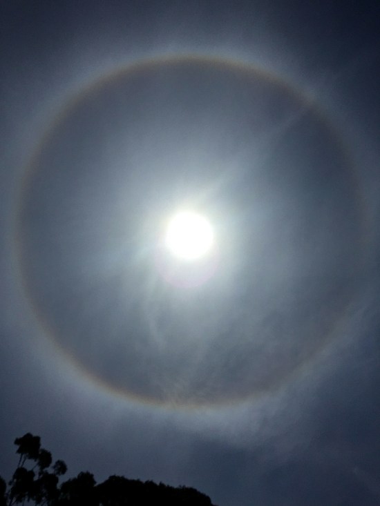 Sun Halo