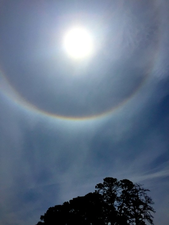Sun Halo